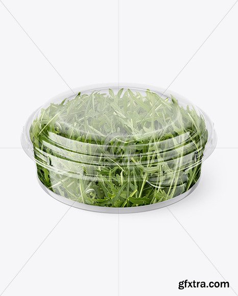 Clear Plastic Container with Arugula Salad Mockup 89170