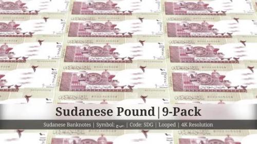 Videohive - Sudanese Pound | Sudan Currency - 9 Pack | 4K Resolution | Looped - 34858394 - 34858394