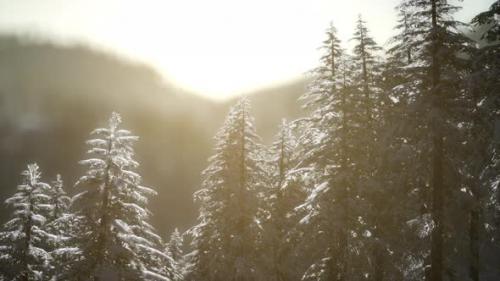 Videohive - Beautiful Winter Landscape in the Mountains - 34931156 - 34931156