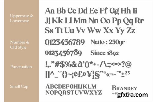 Brandey Stylist Serif Font