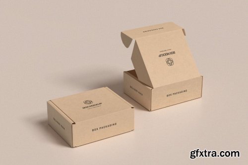 Box Packaging Mockup