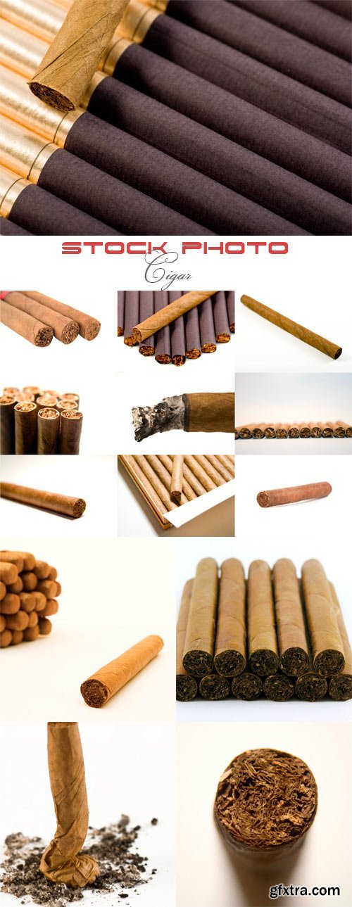 Cigar Stock Photos