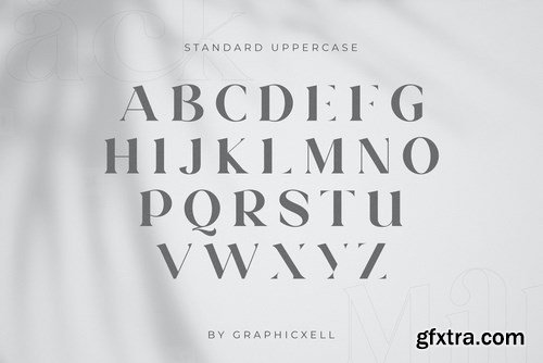 Milkipack Stylish Font