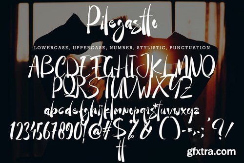 Pilegastto Font