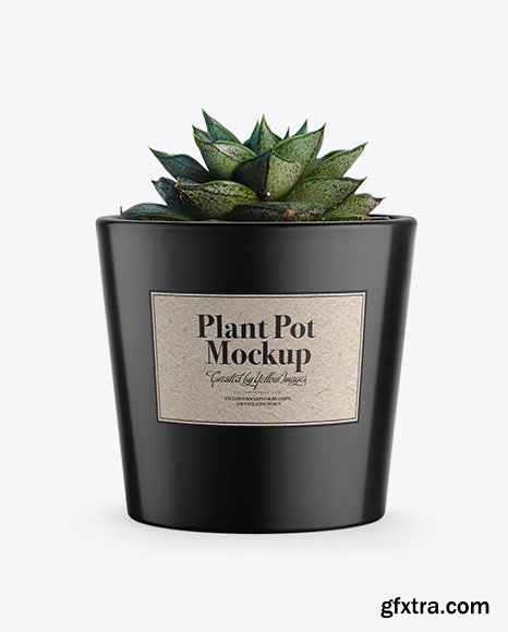 Glossy Plant Pot Mockup 36681
