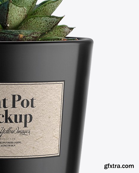 Glossy Plant Pot Mockup 36681