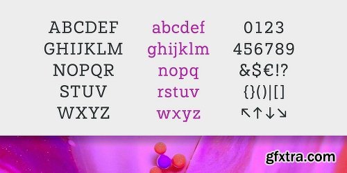 Paul Slab Soft Font Family - 8 Fonts