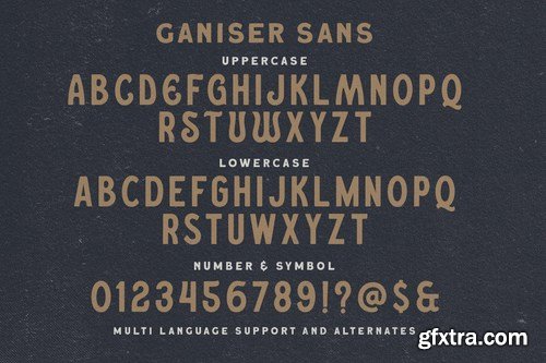 Ganiser Sans Font