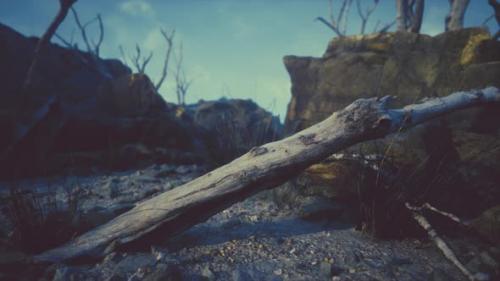 Videohive - Dry Dead Tree Branches and Mountain Ridge - 35250625 - 35250625