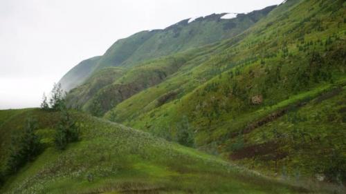 Videohive - Small Green Trees on Hills in Fog - 35250652 - 35250652
