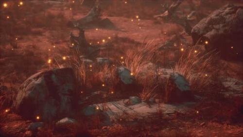Videohive - Fireflies Above Dry Grass and Stones at Sunset - 35250886 - 35250886