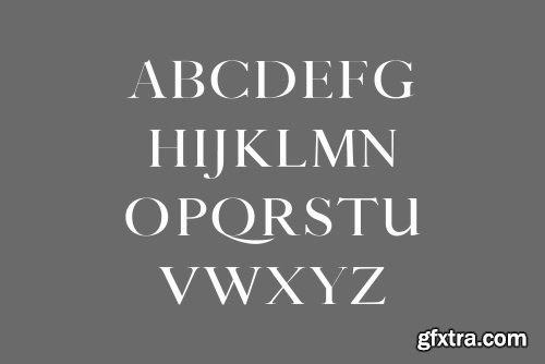 Thomas Craft A Modern Serif Typeface Font Family - 4 Fonts