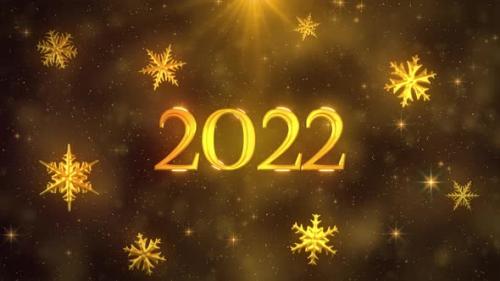 Videohive - New Year Celebration 2022 - 35254067 - 35254067