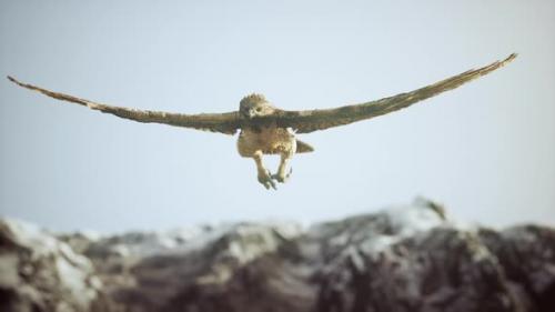 Videohive - Extreme Slow Motion Shot of Eagle - 35232405 - 35232405