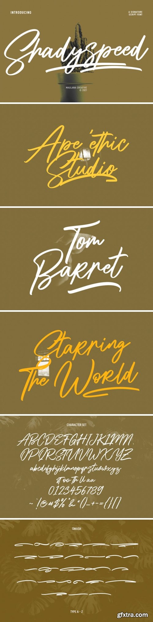 Shadyspeed Script Font