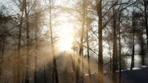 Videohive - Beautiful Winter Landscape in the Mountains - 35367314 - 35367314