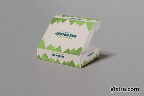 Box packaging mockup