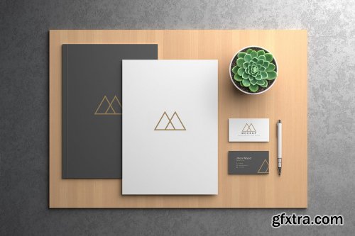 Business Card Mockups