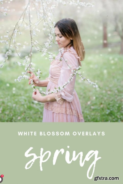 Kimla Designs - White Blossoms Overlays