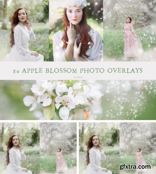 Kimla Designs - White Blossoms Overlays