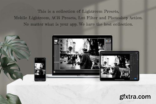 CreativeMarket - Monochrome Lightroom Photoshop LUT 6802983