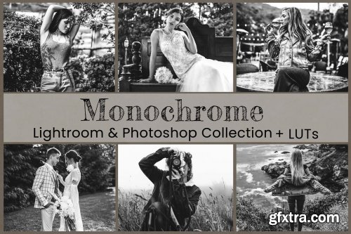 CreativeMarket - Monochrome Lightroom Photoshop LUT 6802983