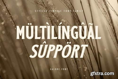 Galore - Stylish Vintage Font Family