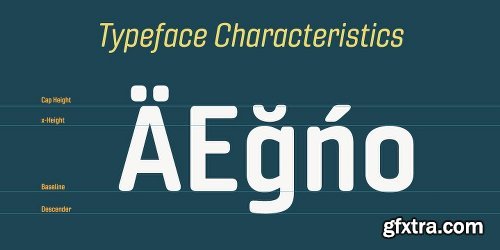 Gineso Soft Font Family - 48 Fonts