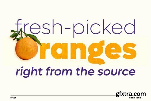 Lufga Font Family Lufga Font Family