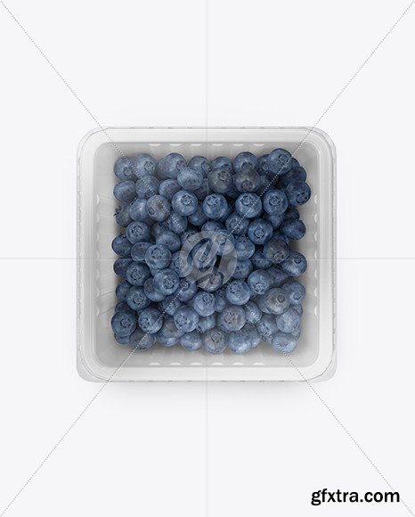 Container w/ Blueberry Mockup 49552