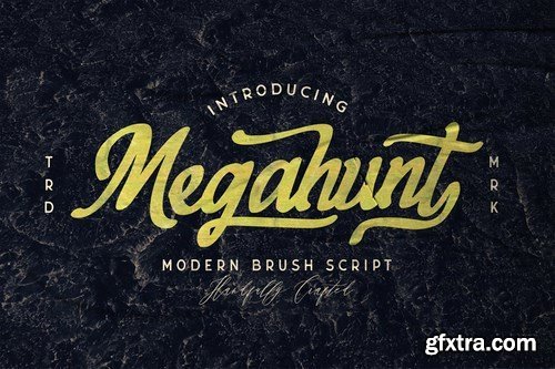 Megahunt - Brush Script Font 5039357