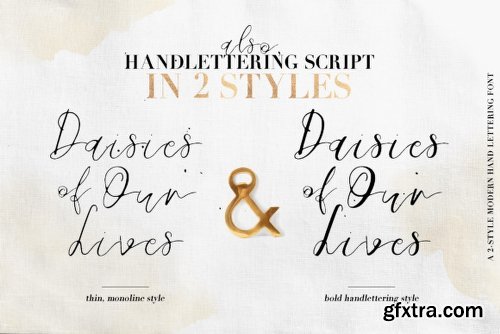 Daisies of Our Lives Font Family - 3 Fonts