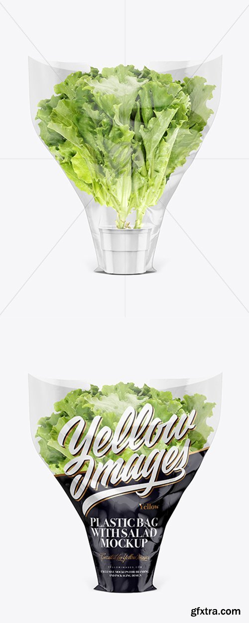 Plastic Bag With Salad Mockup 21726