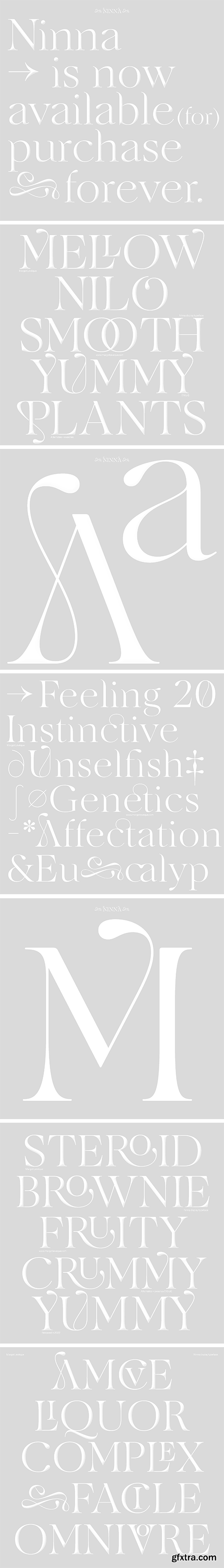 Ninna - Elegant Roman Display Typeface