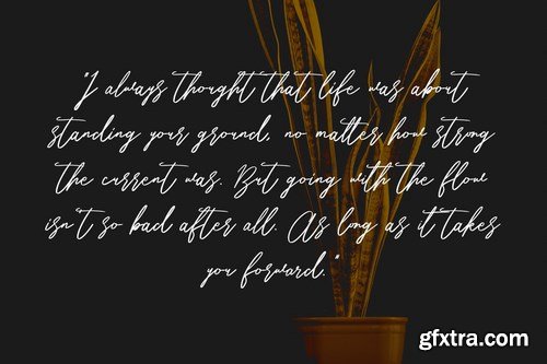 Belostika Brush Script Font