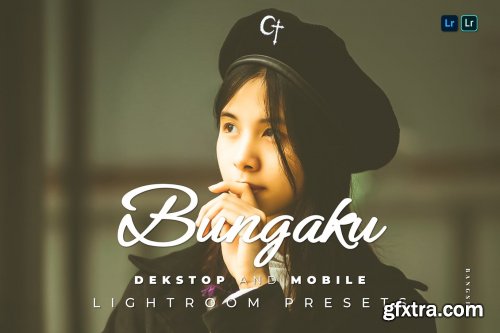 Bungaku Desktop and Mobile Lightroom Preset