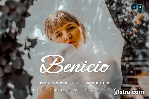 Benicio Desktop and Mobile Lightroom Preset
