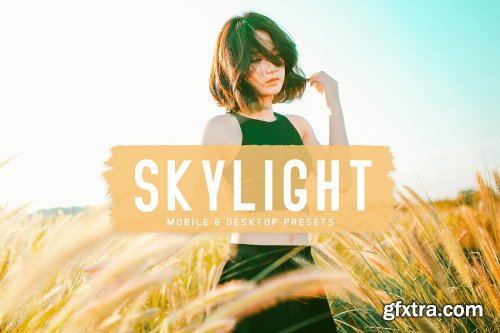 CreativeMarket - Skylight Pro Lightroom Presets 6834951