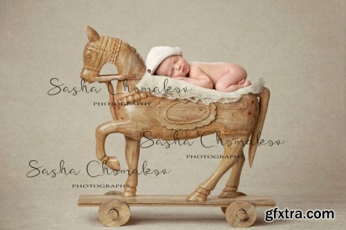 Newborn Backdrop - Wooden horse