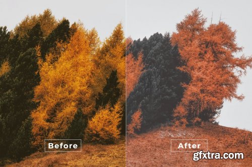 Forest Photoshop Action & LUTs