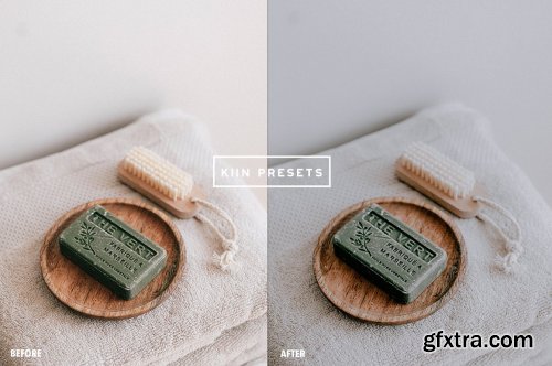 CreativeMarket - 12 SAGE LIGHTROOM PRESETS 6853881