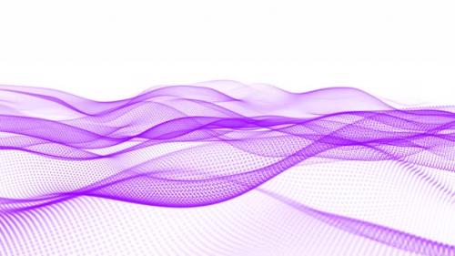 Videohive - Digital Purple Color Particle Line Wave Animation On White Background - 36076817 - 36076817