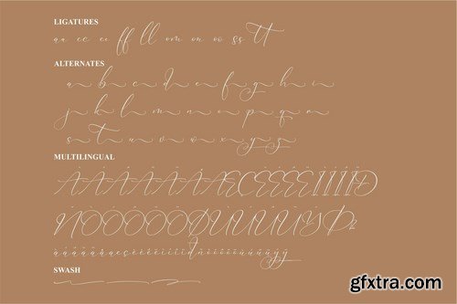 Falminga Charia Beautiful Script Font