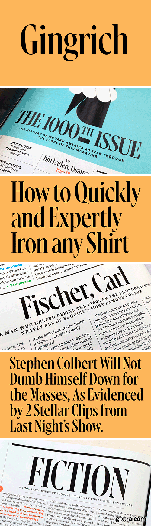 Gingrich Font Family Gingrich Font Family