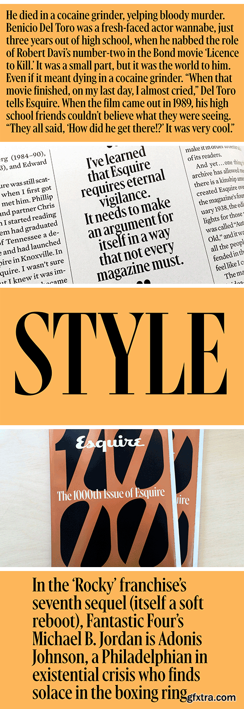 Gingrich Font Family Gingrich Font Family