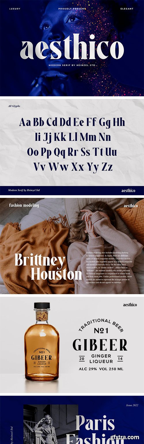 Aesthico - Modern Serif Font Aesthico - Modern Serif Font
