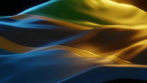 Videohive - Tanzania - Stylized Flag - 36513298 - 36513298