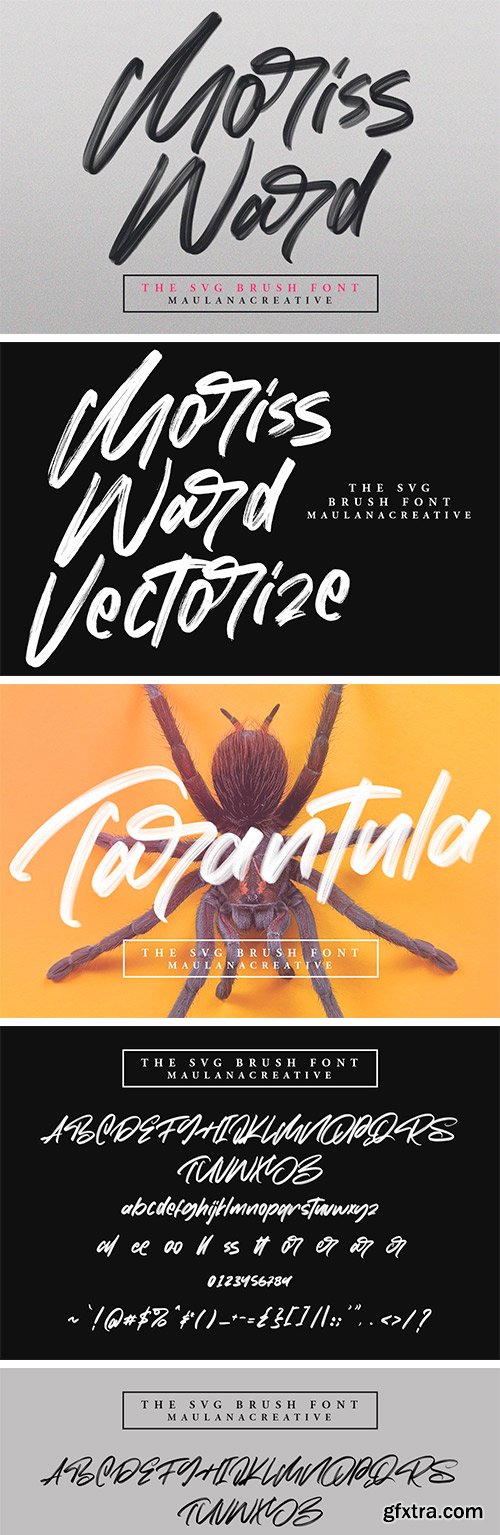 Moriss Ward SVG Brush Font Moriss Ward SVG Brush Font