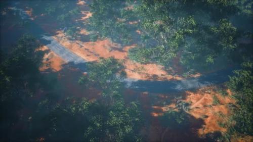 Videohive - Drone Shot Aerial View or Road in Old Forest Woods - 36736410 - 36736410