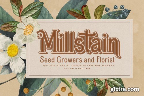 Rontage Display Font